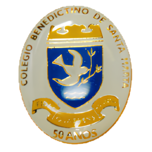 Escudo Pin irregular impresión uv full color